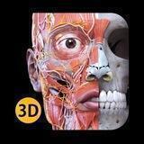 Android.Anatomy_apps