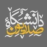 دانشگاه‌‌‌صدریون