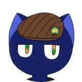 Bluecat Thoughts