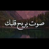 حالات واتس قران..اناشيدツ 🤍