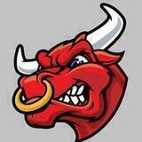BULL BNB