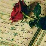 خﮧوآطﮧر✨وديﮧنﮧيﮧآتﮧ🌸🖤
