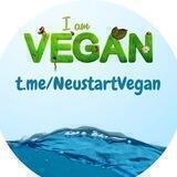 Neustart Vegan & Zuckerfrei