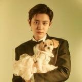 chanyeol.