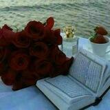 🌹🍃القرآن نبض القلوب🍃🌹