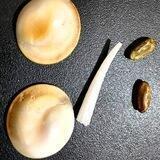 مهره مار اصل