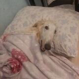 Я до сих пор не ебала свою подружку