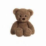 ˃ᴗ˂ : Teddy !♡