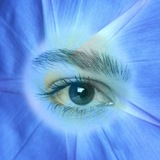 BernadoDavinci