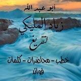 قناة أبي عبدالله زياد المليكي
