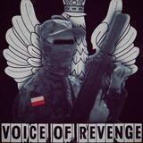 Volunteer X