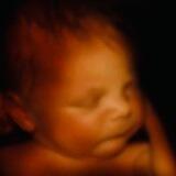 Orthodox Christians Pro-Life NEW YORK