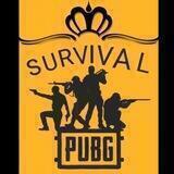 گروه پابجی سور ویوال pubg survival