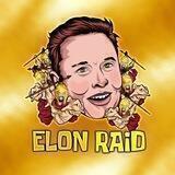 ElonRaid⚡️ Portal