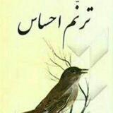 ترنم احساس🌺🍃