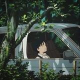 جنگل اسرار آمیز نمو