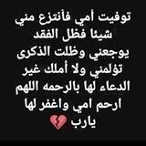 ☘للجَنَه نسعيَ☘