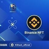 BNB Chain Ecosystem Partners
