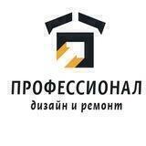 Профессионал дизайн и ремонт