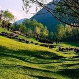 گؤزل آزربایجان
