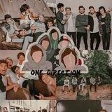 One_x_direction