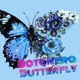 🦋 | Botonera Butterfly | 🦋