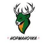 ЖМФК «Норманочка»