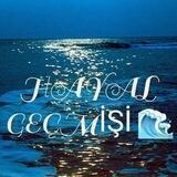 HAYAL GEMİSİ🌊