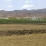 🌱🌾شرکت تعاونی تولید کشاورزی سودجان🌲🌱