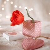 🖇حـروف لها نبـ❤️ـض🖇