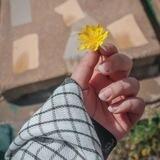 أثــــر🌻.