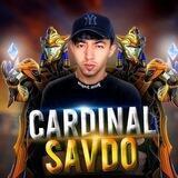 Cardinal_PUBG
