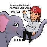 American Patriots of Northeast Ohio United