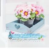 ❤️تقـوى القلــوب❤️