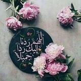 ذِڪــۧـرْ 🌸✨