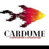 CARDUME® CRYPTOS🐟🚀💰