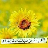 سنرحل ويبقى الأثر..!٠