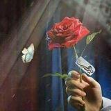 مِنْ أَﺟـْلِ إِمـϻـَامِ الزّمـَان💚