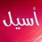 ❤️ لـيـسـتـة أسـيـل ❤️