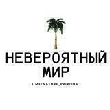 Невероятный Мир 🌿