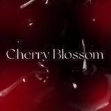 🍒››𝐂𝐡𝐞𝐫𝐫𝐲 𝐇𝐨𝐮𝐬𝐞 ;; 𖦹