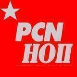Parti Communautaire Néo-eurasien (PCN-NCP-НОП)