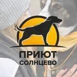 Приют для собак Солнцево