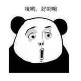 CMS导航网 - 站长交流