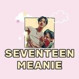LPM MEANIE 💎