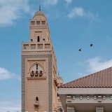 حَسَنَة🪴