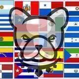 Pitbull Token Chat Oficial (Español)