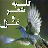 کلبه شعر و غزل🕊