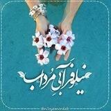 نیلوفر آبی مرداب 💙
