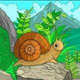 SNAILFARM_COMPANY